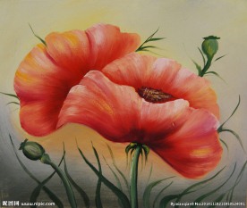 红花油画