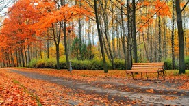 秋天公园板凳