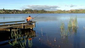 新西蘭亨得利湖畔風(fēng)景
