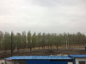 野外