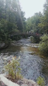 山水