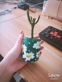 绿植