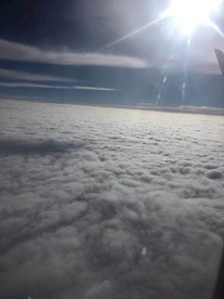 光