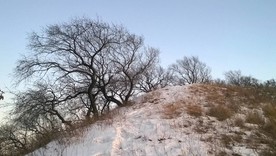 雪