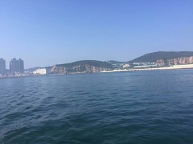 海