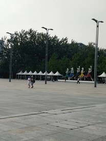 体育馆