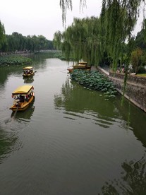 公园