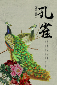 孔雀工笔画