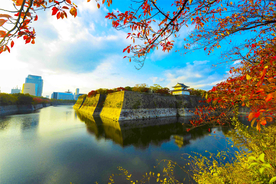 金秋景区