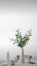 干花4