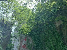 山