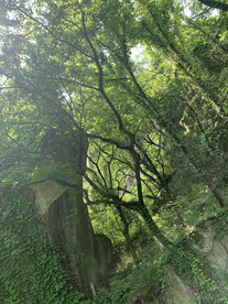 山
