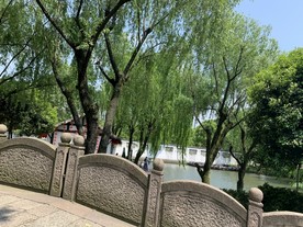 公园风景