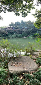 公园风景