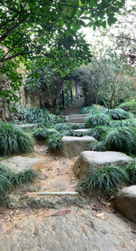 公园风景