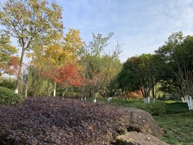 公园风景