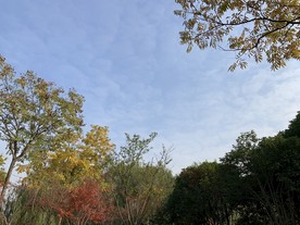 公园风景