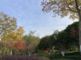 公园风景