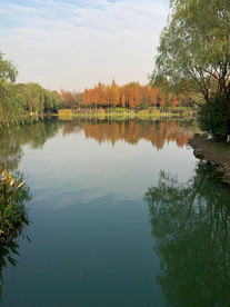 河边