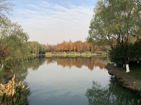 河边