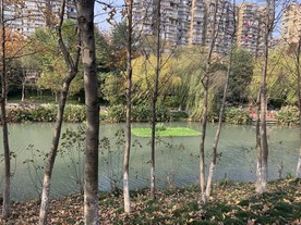 小河边