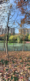 小河边