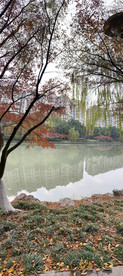 小河边
