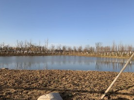 河边
