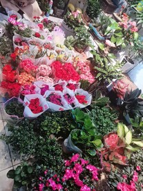 花