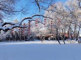 树林雪景