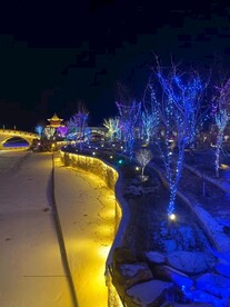 雪景