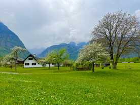 草坪草地山川小屋樹木外國(guó)小鎮(zhèn)