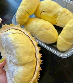 榴莲