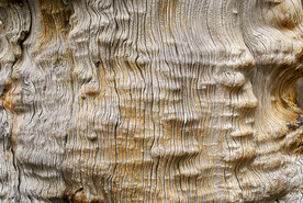 木板木材木紋背景