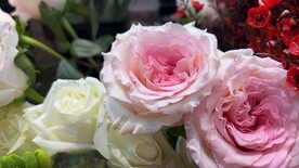 玫瑰花