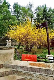 公园