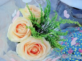 玫瑰花