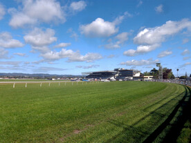 新西蘭賽馬場風(fēng)景