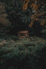 林間木屋