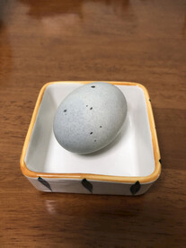 一顆皮蛋