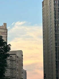 城市