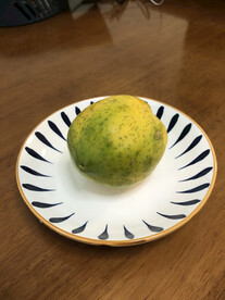 木瓜