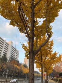 秋季