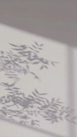 室内背景图
