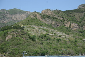 青山