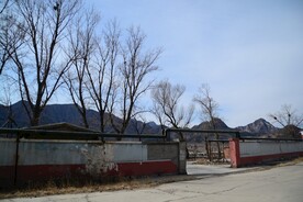 场地