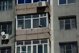 家属楼