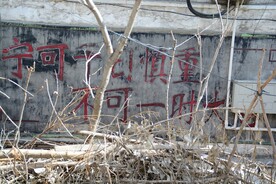 安全标语