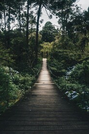 吊桥