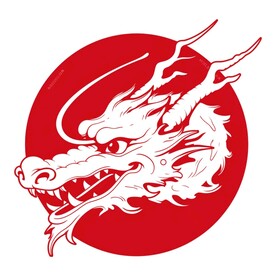 龙